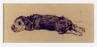 DANDIE DINMONT TERRIER DDT Dog Art Mounted Print - Puppy Reclining - CECIL ALDIN