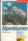Alpenblumen - GU Naturführer Ratgeber von Lippert, Wolfgang