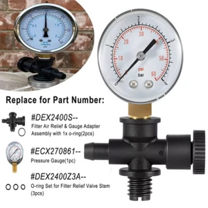 For Hayward DEX2400S Pool/Spa Filter Air Relief Valve Gauge Assembly ECX270861 - Foto 1 di 9