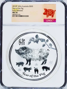 2019 Lunar Year of the PIG Kilo .9999 Silver $30 NGC MS70 Coin ER - Picture 1 of 2