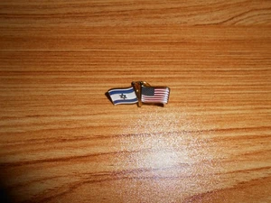 U.S.A. AMERICAN/ISRAEL FLAGS CROSSED FRIENDSHIP FLAGS LAPEL PIN - Picture 1 of 4
