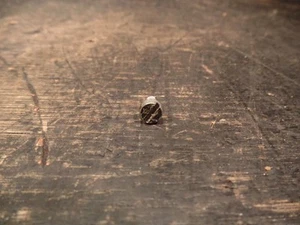 1982 HUSQVARNA XC250 250 XC CLUTCH ACTUATOR RETAINER SCREW  - Picture 1 of 2