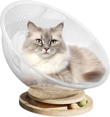 Cápsula espacial linda cama para gatos, gatos para vagar y dormir en cama transparente para gatos nido acrílico Foto 1 de 4