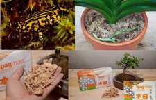 2x Spagmoss NZ Long Fiber Sphagnum Moss(12L) for Reptile Beds,Terrarium,Orchid