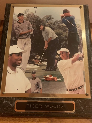TIGER WOODS GOLF 8"x10" PHOTO- FRAMED PLAQUE Cover
