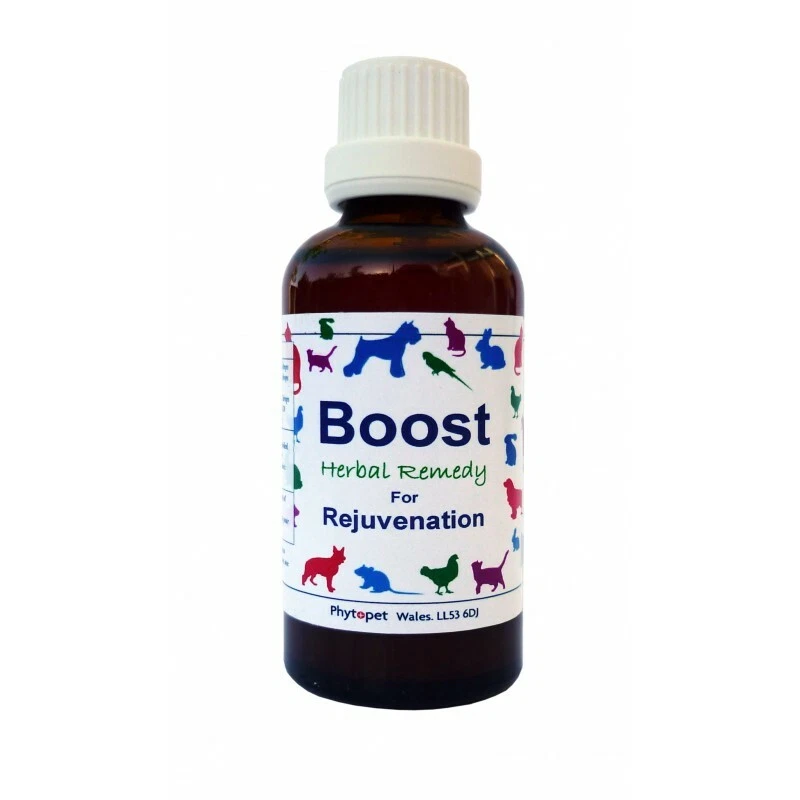 Phytopet Herbal Remedies Boost 100ml Dog Cat rejuvention