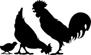 Farm Chicken Rooster Hen Country Car Truck Trailer Window Vinyl Decal Sticker - Picture 1 of 3