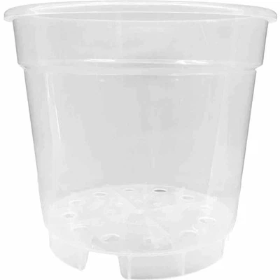 SIENA GARDEN Orchideentopf 12 cm transparent