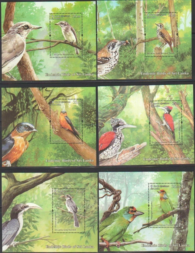 TOP613 SRI LANKA 2021 MINI SHEETS BIRDS/HORNBILL/SWALLOW/FLAMEBACK/WOODSHAKE MNH - Image 1 of 1