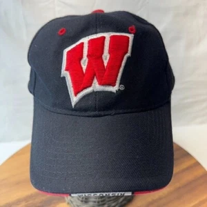 Wisconsin Badgers Hat Cap Black adjustable Strapback Bucky Badger - Picture 1 of 12