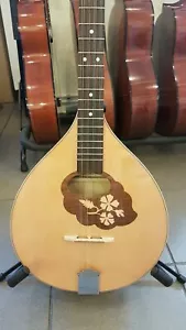 Irish Bouzouki,made in Romania by Hora,NEW, solid wood (spruce top) - Picture 1 of 8