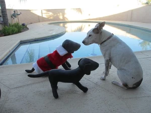 Pequeño - Mediano 30 - 35 lb Perro SANTA Chaqueta Disfraz Navidad Usado - Imagen 1 de 11