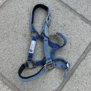 Shetland Headcollar xxxs Nylon Faded Blue by KM elite - Picture 1 of 5