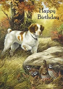 More details for brittany spaniel spaniel dog birthday greetings note card 