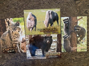 Arizona Wildlife Postcards Set of 4 Bearizona MINT - Picture 1 of 2