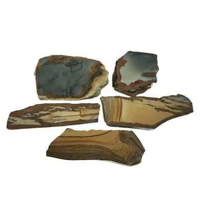 Original Owyhee Picture Jasper, landscape, slab, lot, cabbing rough, #R-6422 - Image 1 of 4