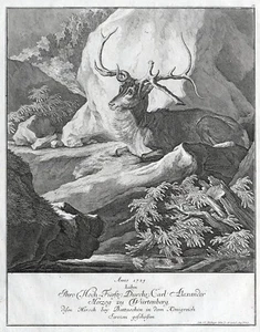 Antique Print-DEER-SERBIA-COUNT OF WURTTEMBERG-M.E. Ridinger-J.E. Ridinger-1768 - Picture 1 of 4