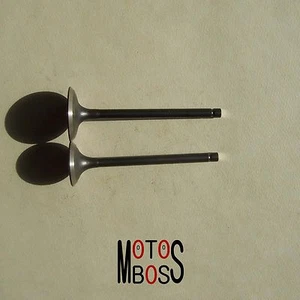 Orignal Intake/Exhaust Valve for Linhai 260 300 Scooter ATV UTV - Imagen 1 de 2