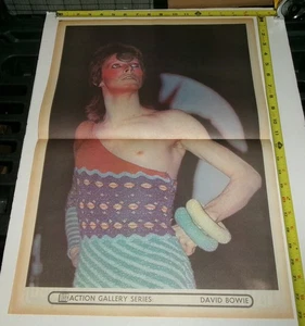 DAVID BOWIE Vintage Double Sided 1973 Poster 16 1/2 X 23 Inch MUNGO JERRY RAY - Picture 1 of 5
