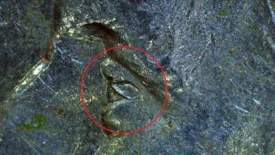 2002 P Louisiana State Quarter DIE CHIP ERRORS! - Image 1 of 4