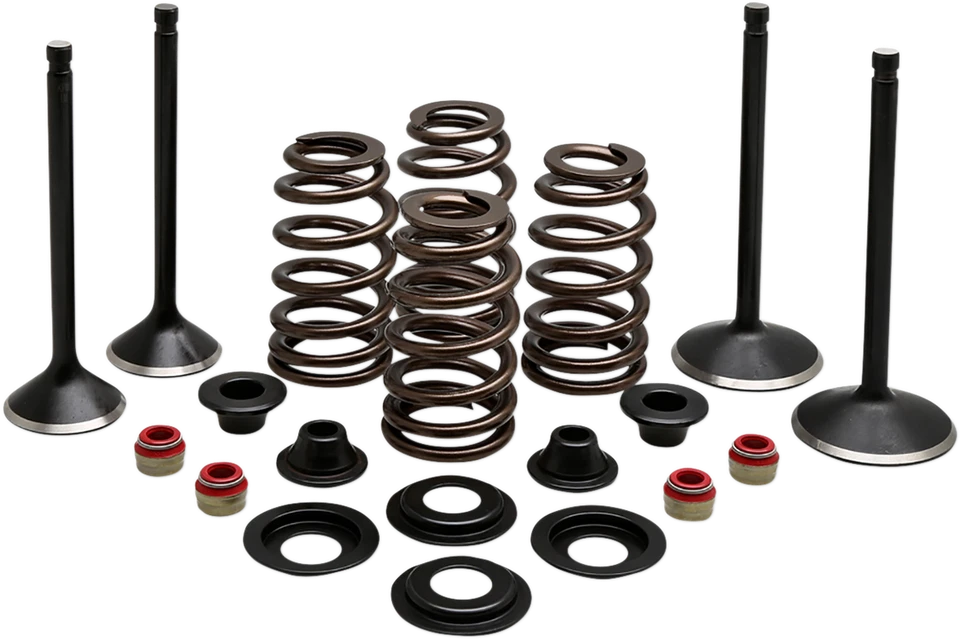 Kit completo de válvulas Evolution/1200 1991-2003 para Harley Sportster 1200 XLH Foto 1 de 1