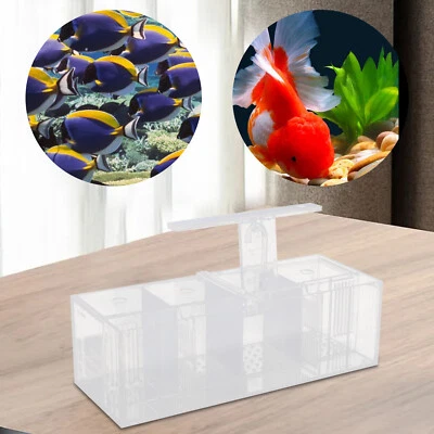 Aquaponic Fish Tank Rectangle Acrylic Betta Fish Tank 4-Grid Desktop Fish Tank - Image 1 of 4