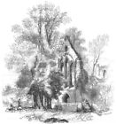 WALIA. Północna Walia. Opactwo Valle Crucis 1850 stary antyczny vintage druk obraz
