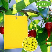 20 Gelbtafeln Gelbsticker Gelbtafel Fruchtfliegen Falle Insektenfalle Fliegen