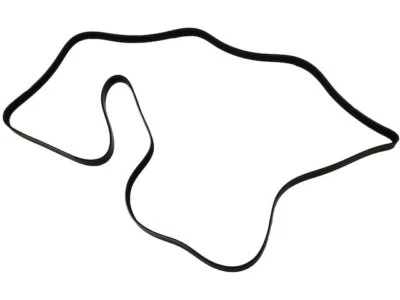 Cinturón multi costilla para Volkswagen Touareg 2013-2016 8103NR 2014 2015 3,0 L V6 diésel Foto 1 de 2