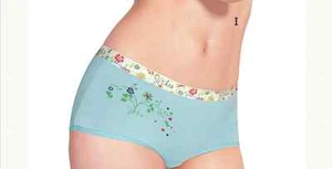 1X Women's Natural Bamboo Brief Underwear Lingerie Panty Sz XS S M L ( 6-14) - Picture 1 of 2