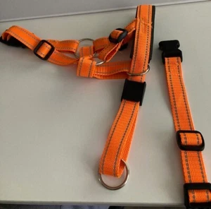 Halti für Hunde, orange, neu, Kopfgeschirr, Kopfhalter - Bild 1 von 2