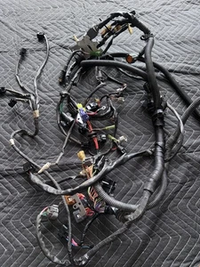 2008 Yamaha Waverunner Fx Wiring Harness - Picture 1 of 12