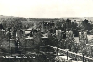 Battlements Blarney Castle County Cork Irland Luftaufnahme Echtfoto Postkarte - Bild 1 von 2
