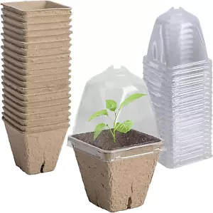 20 Pcs Biodegradable Nursery Pots with Humidity Dome- 2.3 Inch Square Seeding St - Picture 1 of 12