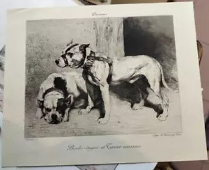 BOULE-DOGUE ET TERRIER ECOSSAIS XIX sec Boilvin, Porcabeuf Paris - Foto 1 di 1