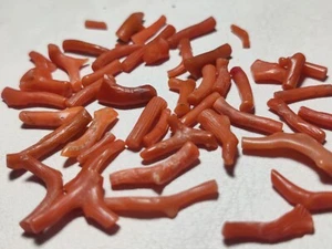 Finest Quality Natural Coral Raw Crystals 34.5 Carats Red Color - Picture 1 of 5