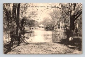 Brooklyn New York Prospect Park Lake View - Rotograph Postcard 1908 - Picture 1 of 2