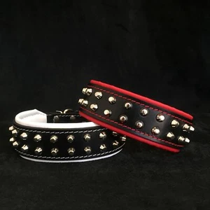 Collar de perro Bestia "Rocky" de cuero con tachuelas. 100% cuero. Hecho a mano. Suave acolchado. - Imagen 1 de 8