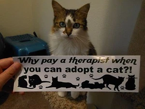 Why pay a therapist when you can adopt a cat? 3x10 Bumper Sticker Decal BlackCat - Picture 1 of 4