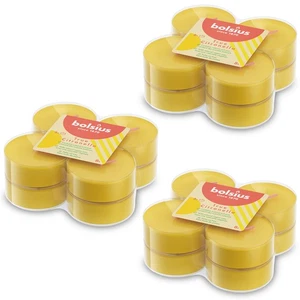 24x Citronella Maxi-Duftteelichter 8h Outdoor - Natürliche Extrakte - Bolsius  - Bild 1 von 8