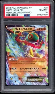 PSA 10 Hawlucha EX 038/XY-P Holo Mega Lucario Promo Rare Pokemon Japanese Graded - Picture 1 of 2