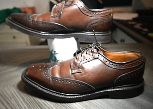 Allen Edmonds Hudson Brown classic wingtip shoes men’s USA 8.5 D VGUC - Picture 1 of 11