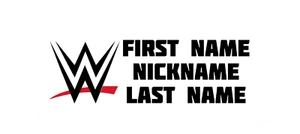 10x 6x 2x Custom WWE Name Stickers WCW Wrestling Holographic WWF WWWF ECW AEW US - Picture 1 of 3