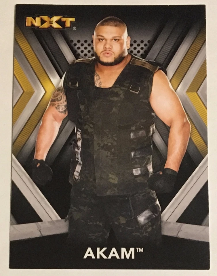 AKAM, WWE "NXT", 2017 TOPPS CARD, WOW ! EXCELLENT CONDITION ! SUPERSTAR ! - Image 1 of 1