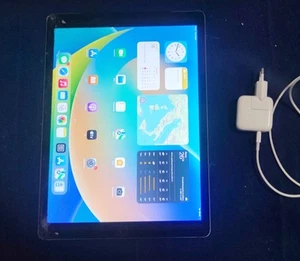 Apple iPad Pro 12,9" 128 GB Wifi Cellular A1652 - Afbeelding 1 van 5