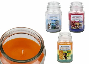 5 OZ BELL JAR CANDLE – TRIO SCENT – 3 FRAGRANCES – CLEAN & STEADY BURN - Picture 1 of 10