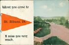 St. Albans, Vermont - Pennant Flag 1913 - Vintage Franklin County, VT Postcard