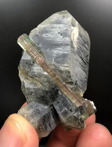 81 Grams Very Unique Quality Tourmaline Crystal with Quartz Specimen @ Afghan - Picture 1 of 9