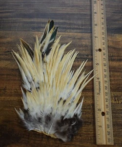 Lote de 246 plumas de silla de montar de gallo India para atar moscas - Imagen 1 de 1