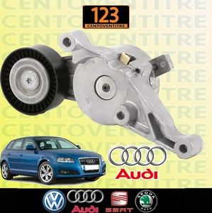 BRACCIO TENDITORE INA - TENDICINGHIA SERVIZI POLY-V AUDI A3 - 1.9-2.0 TDI - Foto 1 di 4
